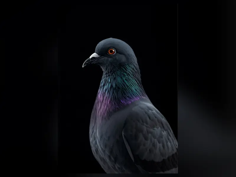 Pigeons & nuisibles volants — intervention Nettoyage Nuisibles en Alsace