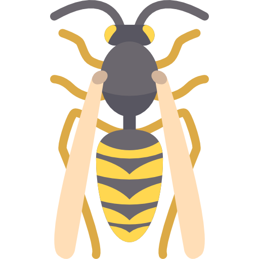 guêpes